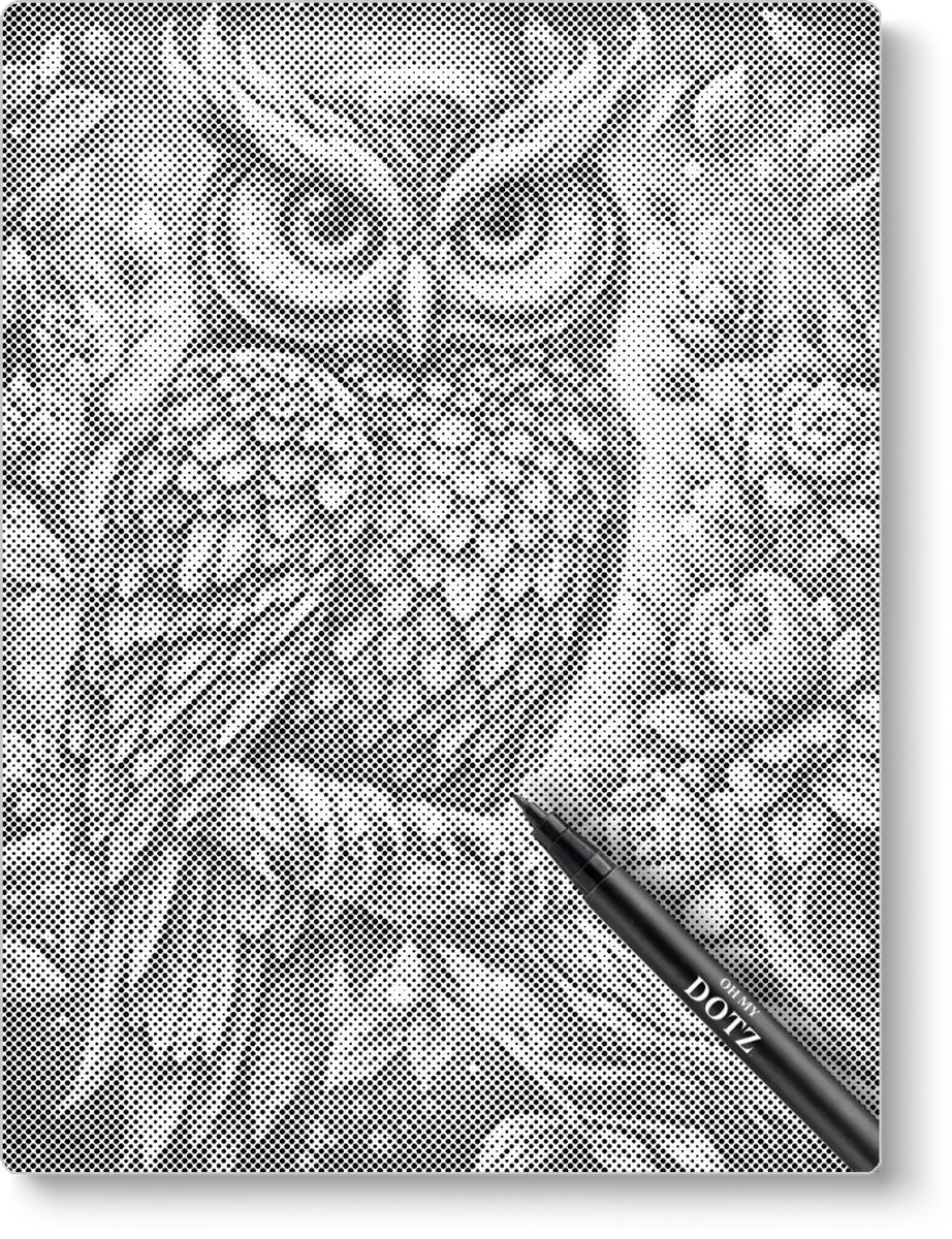 Prachtige Uil | Stippelschilderij | 40x50cm | Dot painting | Oh My Dotz | Dots stippen | Diamond painting & Schilderen op nummer alternatief | Sinterklaas | Kerst